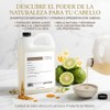 Shampoo Profesional de Bergamota y Vitamina E Anticaída a Granel