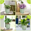 LESOASIS Plant Pots 10/9/8/7.5/7 inch Flower Pots, Set of 5
