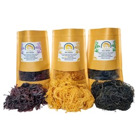 Wildcrafted Sea Moss | Gold - Purple - Green - Mixed | 100% Natural Irish Moss from St.Lucia | Mineral-Rich Superfood | 8oz Sun-Dried Moss | NO Preservatives NO Chemicals