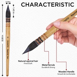 Professional Watercolor Paint Brushes, Round Squirrel Hair Paint Brush Set for Art Painting, Gouache, Fine Detailing, Acrylic, Gouache, Oil (Size #12)