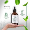 HBNO California Bottled Peppermint Essential Oil 4 fl oz (120ml)