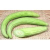 KIRA SEEDS - Seeds Armenian Cucumber - Open-Pollinated - Heirloom