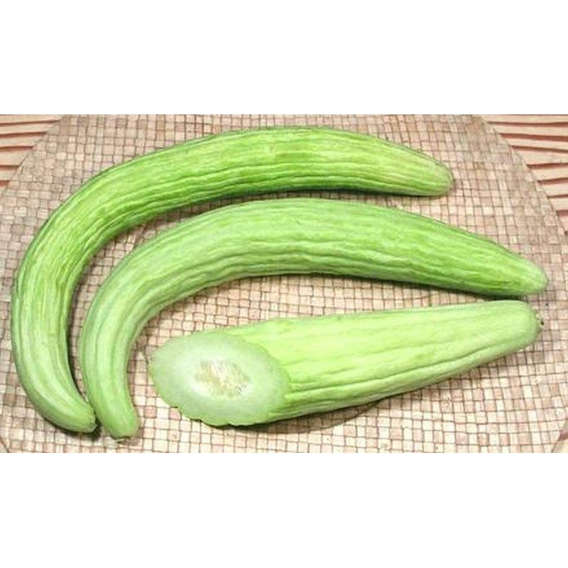 KIRA SEEDS - Seeds Armenian Cucumber - Open-Pollinated - Heirloom