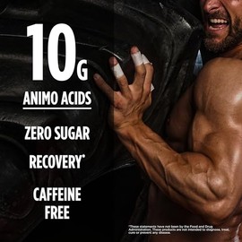 BSN Amino X, Sabor Ponche de Frutas, 435 gr