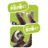 Takara Tomy Ania AS-26 Sloth (Nodochamiyubino Sloth), Animal Dinosaur Realistic