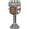 Nemesis Now English Goblet 17cm Grey, Resin w/Stainless Steel Insert,