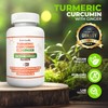 HARMONIFY Turmeric Curcumin Supplement with Ginger, Ceylon Cinnamon and Black