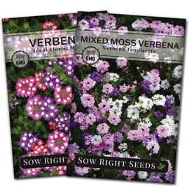 Sow Right Seeds - Verbena Flower Seeds for Planting - Mixed Moss and Ideal Florist Mix - Excellent Ground Cover - Non-GMO Heirloom Seeds - Annual & Perennial - Multicolor Blooms - Attract Pollinators