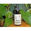 East Fork Apothecary Wild Lettuce Tincture 2 oz. Wildcrafted, Fresh