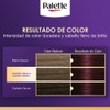 Palette Tinte para cabello color creme, borgona intenso 4-89, 0.165