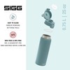 SIGG - Stainless Steel Drinking Bottle - Shield One Morning