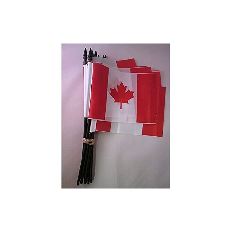 AZ FLAG Canada Flag 15 x 10 cm – Canada