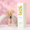 COCODOR Flower Reed Diffuser Set / 3.4oz / White Jasmine/Scent
