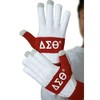 Delta Sigma Theta Knit Texting Gloves