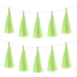 MECCANIXITY 25Pcs Glass Green Tassel Garland Banner with Rope Tissue Paper Tassels Party DIY Kits for Anniversary Wedding Birthday Party