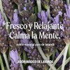 Bronner Jabón Castilla Orgánico Líquido Multiusos Fórmula Concentrada Relajación Aromática