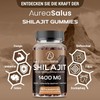 1400 mg Shilajit Gummies High Dosage, Sugar-Free, Premium Himalayan Supplement