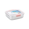 Smash Microwave Safe Stainless Steel Lunch/Sandwich/Meal Box, Pink