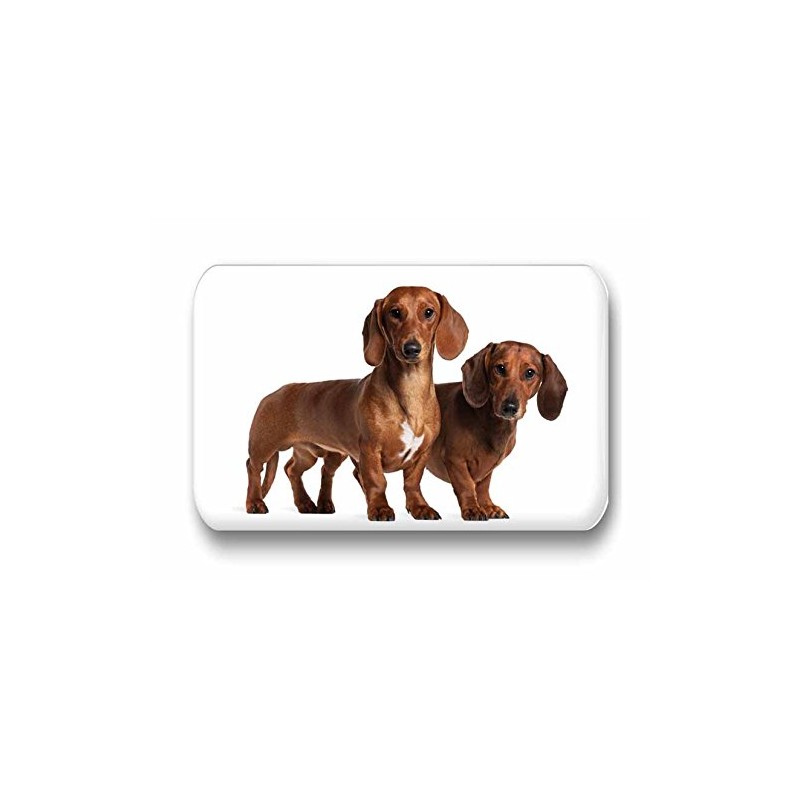 Merchandise for Fans Dachshund / Teckel / Dachshund - 6