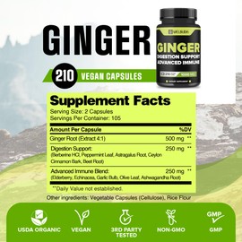 WELBUDA 1000mg Ginger Supplements Capsules with Berberine HCl, Elderberry, Echinacea & More - 11in1 Support Digestion, Joint Health, Immune System, and Heart Health - 210 Ginger Pills