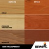 Olympic WaterGuard 1 gal. Sequoia Red Semi-Transparent Wood Stain and