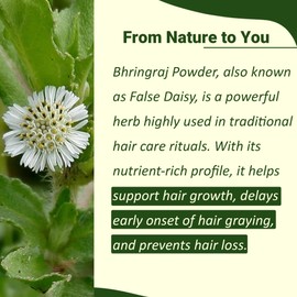 Bhringraj Powder (Eclipta Prostrata) by mi nature | 227g (8 oz)(0.5 lb) | 100% Natural and Pure | Hair Growth | Hair Pack | Improves Hair quality | Resealable zip lock pouch