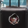 Axolotl Decal - Wall Hole Sticker with 3D Effect