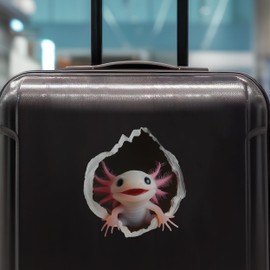 Axolotl Decal - Wall Hole Sticker with 3D Effect