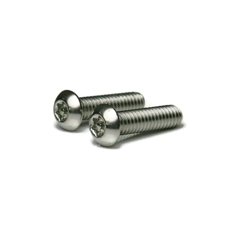 Torx w/Pin Tamper Proof Security T-25 Button Cap Screw 18-8