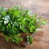 Alpi Nature Dried Parsley 500g Parsley Rubbing Spice for Cooking,