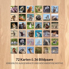 Starnberger Spiele - Animal Funny - Memory Game for Adults and Children from 6 Years - Gift for Animal and Nature Lovers