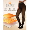 Tournesol Plus Size Women's Fleece Lined Tights Fake Translucent Warm