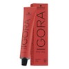Schwarzkopf Igora Royal premium hair colour, pack of 1 (1