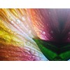 8.5" X 11" Canvas Textured Premium Inkjet Photo Paper -