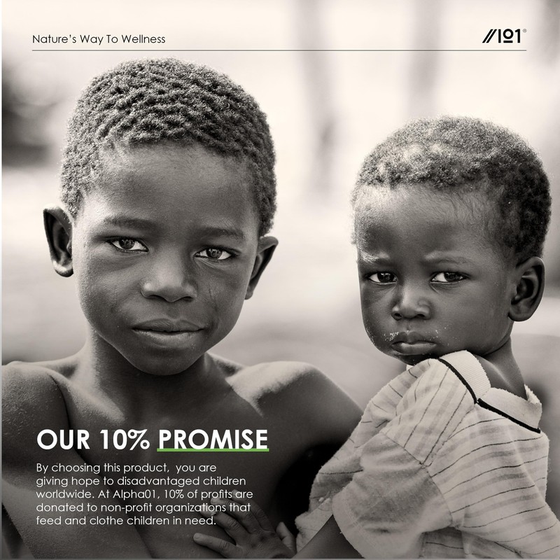 Andrographis Extract 500mg – High Strength Andrographis Paniculata Extract Equivalent