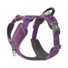 DOG Copenhagen Comfort Walk Pro Dog Harness, Purple Passion, XS