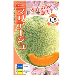 Nantes Seedling Co., Ltd. Maria-Ju (Melon)