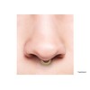 PIERCINGLINE Titanium Clicker Crystals + Balls Ring Nose Septum Ear