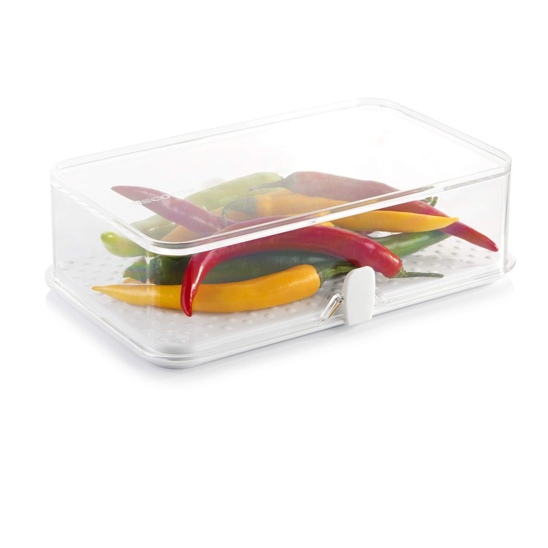 Tescoma Healthy Container for The Refrigerator Purity, Large, Assorted
