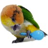 Parakeet Maracas Set of 8 Toy Birds Small Bird Supplies