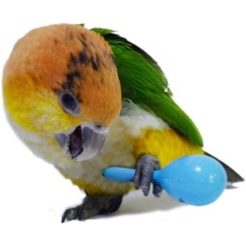 Parakeet Maracas Set of 8 Toy Birds Small Bird Supplies