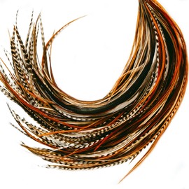 50 Natural Color Hair Feathers - 9”- 14” Long - Feathers for Hair Extension - DIY Kit - Eye-Catching Design - 50 Micro-link Beads - 100% Real Rooster Feathers - Professional Color Hair Feathers