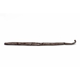 Slofoodgroup Extra Long Madagascar Vanilla, Planifolia - 1  bean