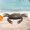 Funny High Simulation Remote Control Infrared Animal Crab Kid Trick