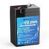 6V 4.5Ah LiFePO4 Battery, Intelligent BMS Rechargeable Lithium Iron Phosphate