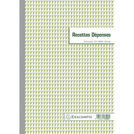 EXACOMPTA 13500E Manifold "Recettes et Dèpenses" 297 x 210 mm Pack of 1