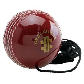 Gray-Nicolls Batting Master Hanging Ball Leather
