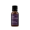Mystic Moments | Rose Bulgarian Absolute Oil Dilution | 10ml