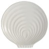 Split P Seashell Dinner Plate Set of 4