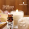 Amphora Aromatics Eucalyptus Essential Oil 10ml
